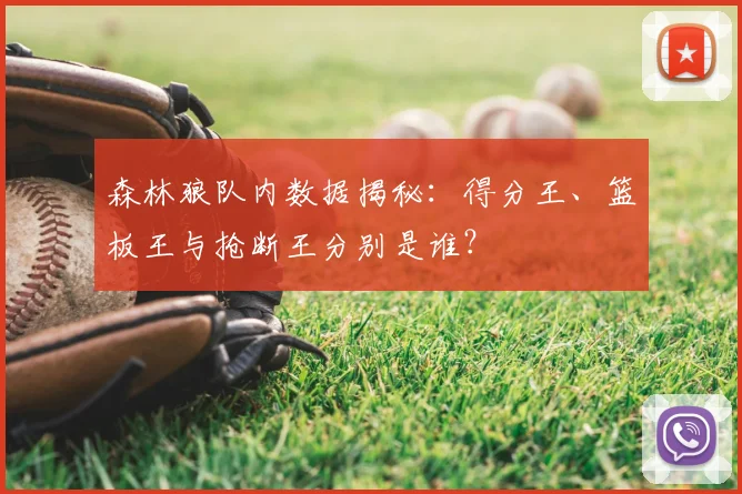 森林狼队内数据揭秘：得分王、篮板王与抢断王分别是谁？