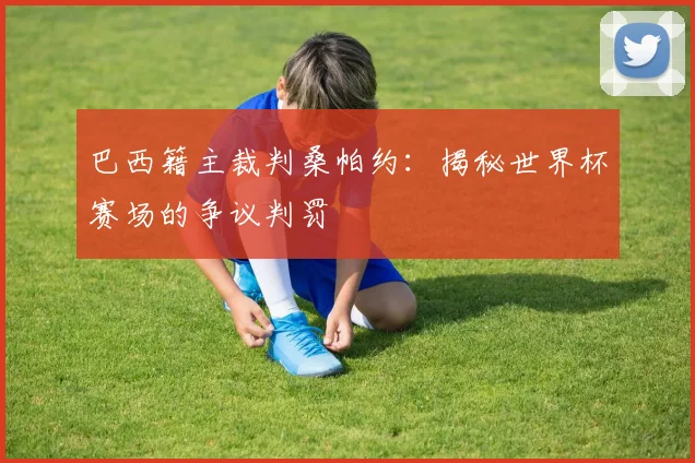 巴西籍主裁判桑帕约:揭秘世界杯赛场的争议判罚