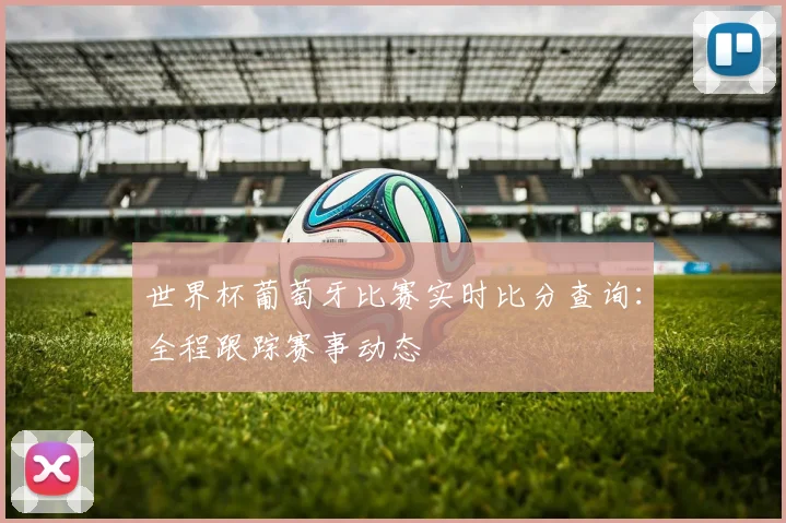 世界杯葡萄牙比赛实时比分查询：全程跟踪赛事动态