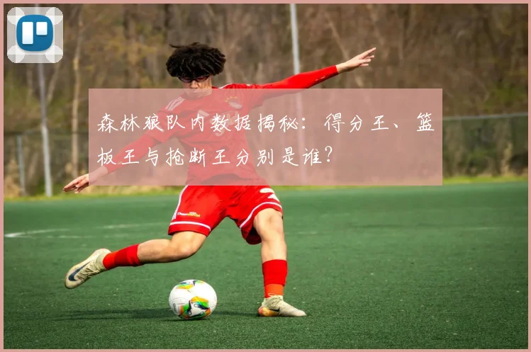 森林狼队内数据揭秘：得分王、篮板王与抢断王分别是谁？