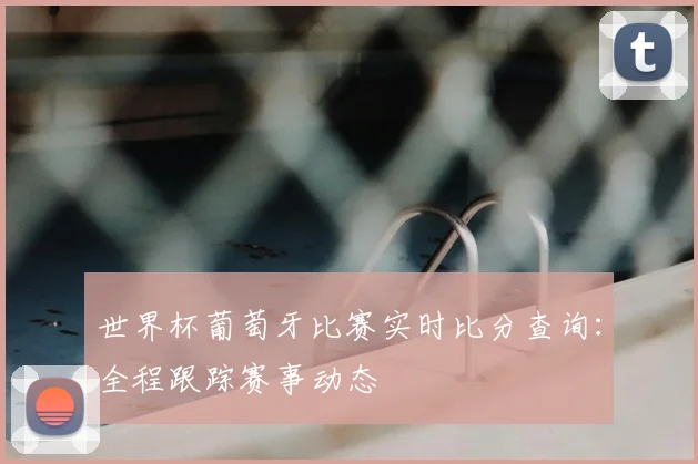 世界杯葡萄牙比赛实时比分查询：全程跟踪赛事动态